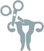 Icon of Tubal Ligation